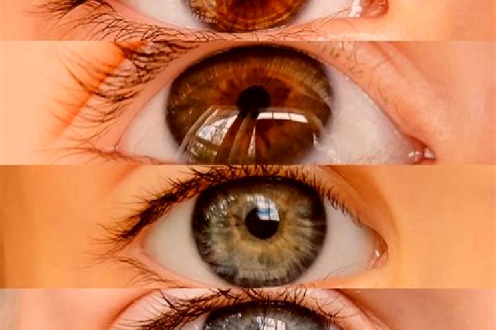 Sienna, 27, a chestnut grey-eyed mixed companion based in Handwara. Offering Massage, Duos, Tantra, Prostate Massage. Available for incall and outcall, day a...