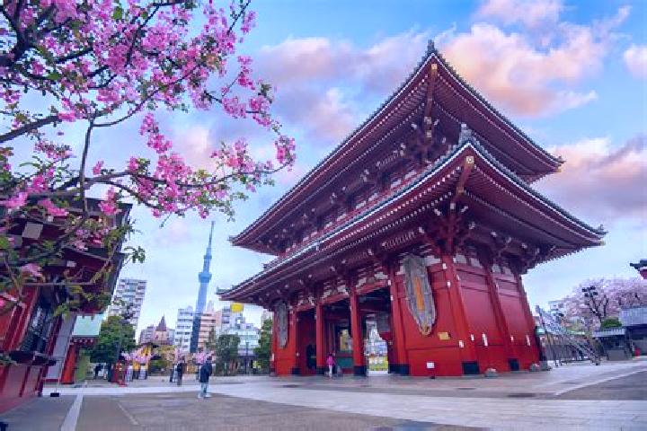 Sienna, 27 — Escort in Asakusa, Japan