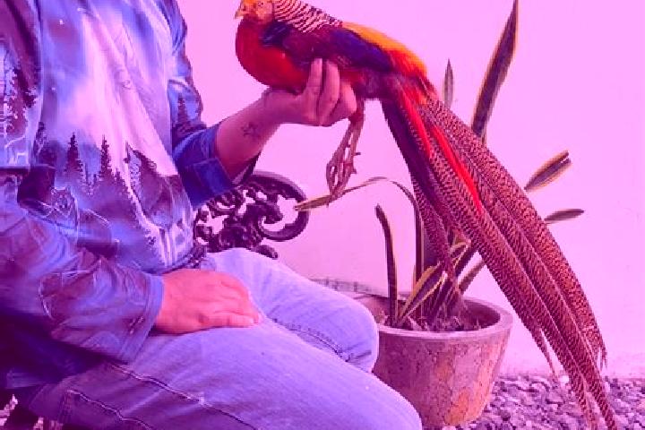 Sienna, 27 — Escort in El Faisan, Mexico
