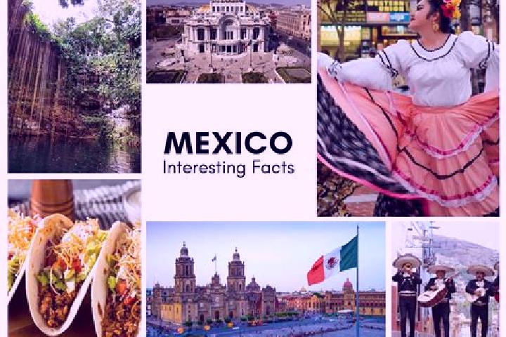 Sienna, 27 — Escort in Nurio, Mexico