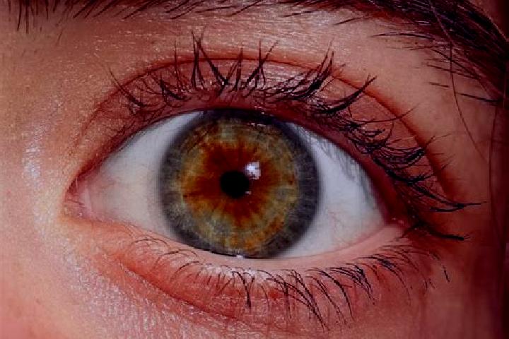 Sienna, 28, a red hazel-eyed latina companion based in Bunnik. Offering Fetish, 69, Duos, A-Level. Available for incall and outcall, overnight bookings avail...