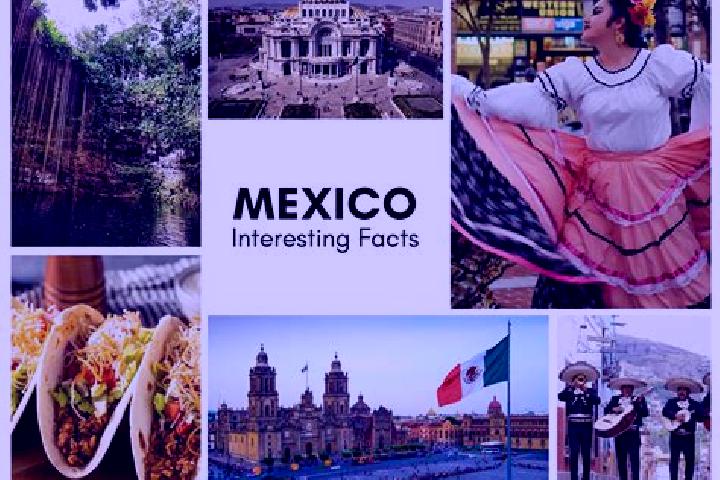 Sienna, 28 — Escort in Patelna, Mexico