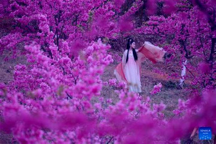 Sienna, 28 — Escort in Quchi, China