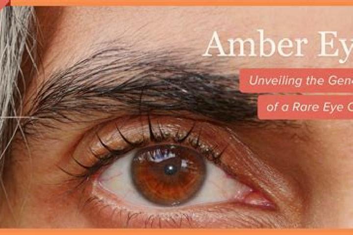 Sienna, 29, a red amber-eyed european companion based in Oosterbeek. Offering Party Girl, 69, Tantra, Girlfriend Experience. Available for incall and outcall...