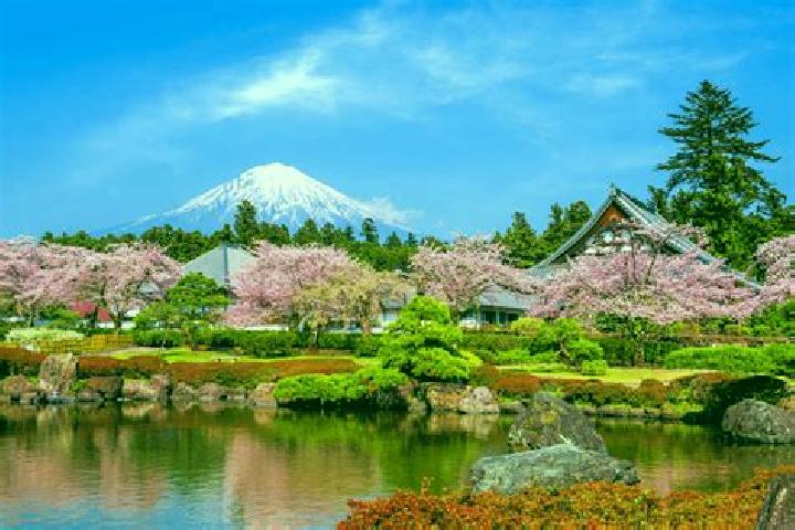 Sienna, 29 — Escort in Fujinomiya, Japan
