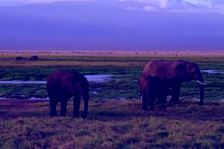 Sienna, 30 — Escort in Karatina, Kenya