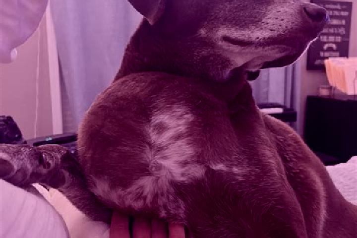 Sienna, 31, a auburn brown-eyed ebony companion based in Koton-Karfe. Offering A-Level, Massage, BDSM, Prostate Massage. Available for incall and outcall, da...