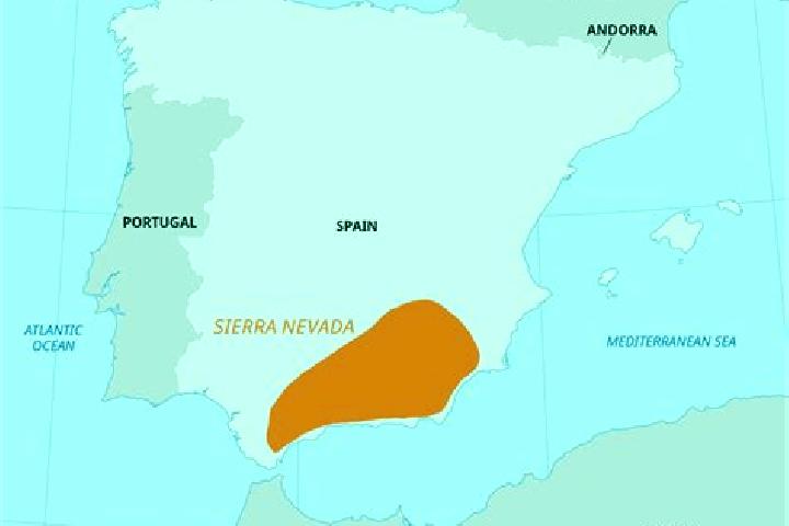 Sienna, 31 — Escort in Butarque, Spain