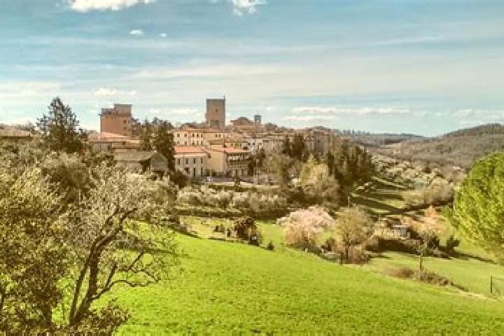 Sienna, 31 — Escort in Castellina Scalo, Italy