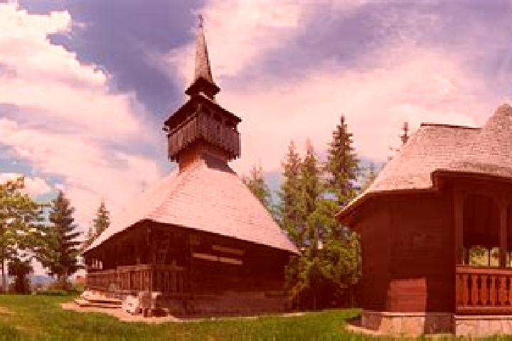 Sienna, 31 — Escort in Fildu de Sus, Romania