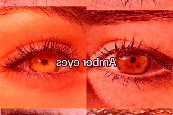 Sienna, 32, a brunette amber-eyed slavic companion based in Thi Tran Thanh Ha. Offering Fetish, Couples, Duos. Available for incall and outcall, day and even...