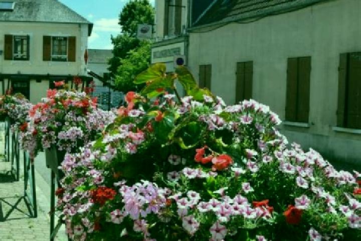 Sienna, 32 — Escort in Les Essarts, France