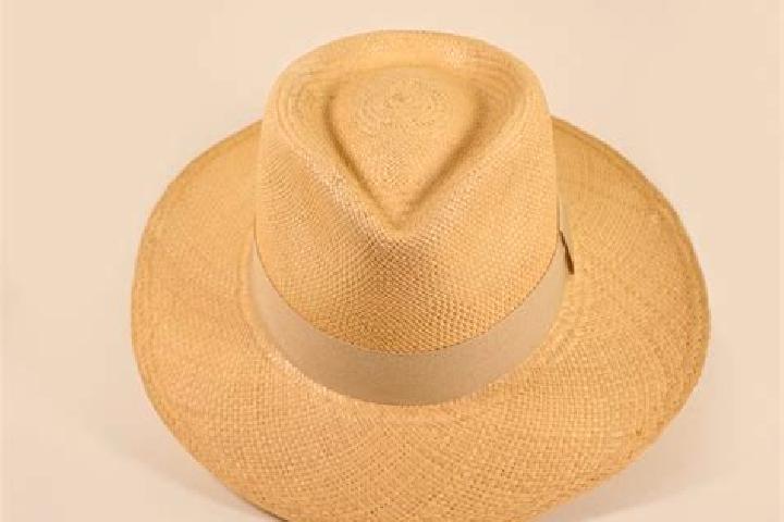 Sienna, 32 — Escort in Paja de Sombrero, Panama