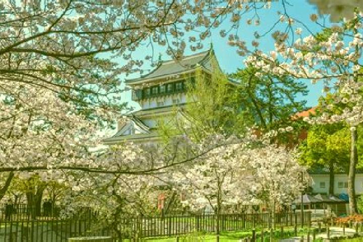 Sienna, 33 — Escort in Kitakyushu, Japan