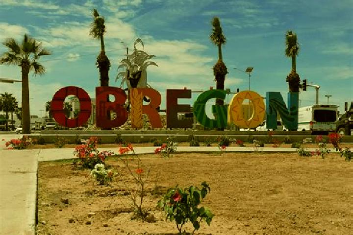Sienna, 33 — Escort in Progreso de Alvaro Obregon, Mexico