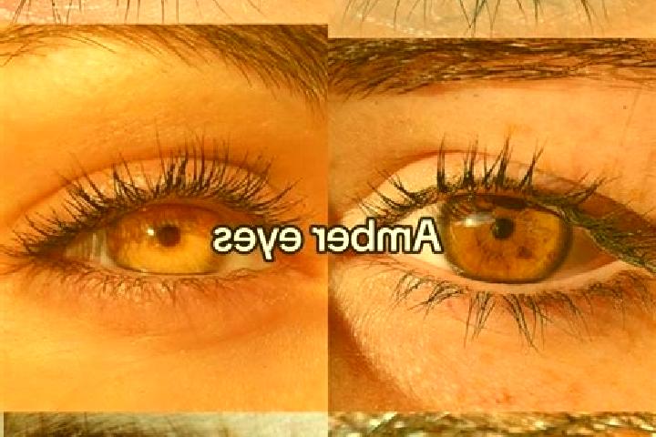 Sienna, 34, a chestnut amber-eyed ebony companion based in Ferrere. Offering Overnight, Duos, Travel Companion, Roleplay, OWO. Available for incall and outca...