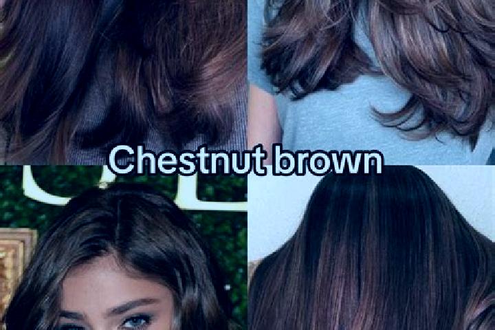 Sienna, 34, a chestnut brown-eyed middle eastern companion based in Colle di Fuori. Offering Domination, Massage, Girlfriend Experience, Couples. Available f...