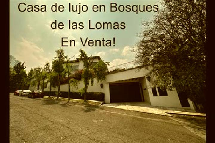 Sienna, 34 — Escort in Dos Lomas, Mexico