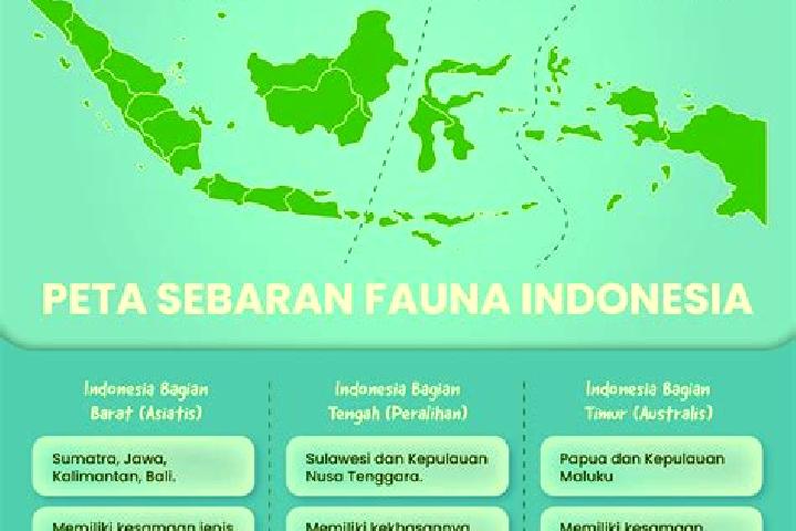 Sienna, 35 — Escort in Burujul Tengah, Indonesia