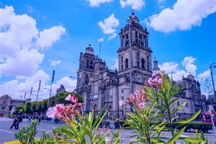 Sienna, 35 — Escort in La Zafra, Mexico