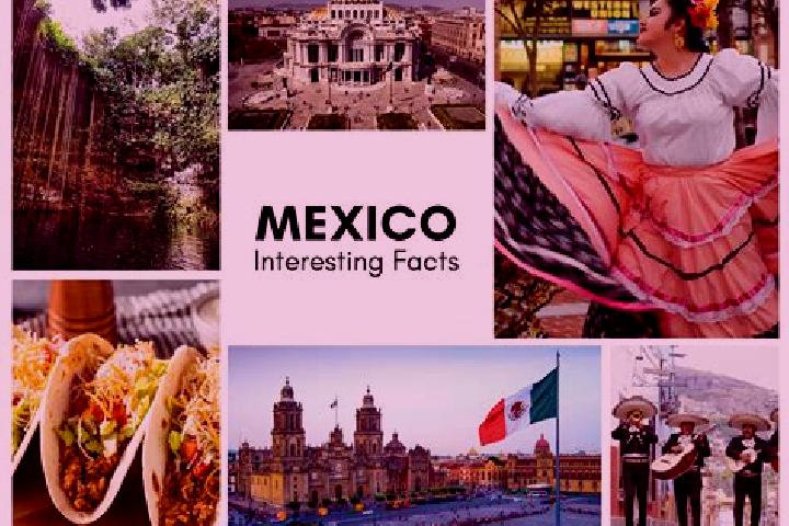 Sienna, 35 — Escort in Sinapan, Mexico