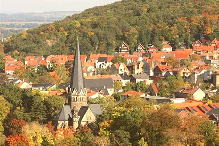 Sienna, 35 — Escort in Thale, Germany