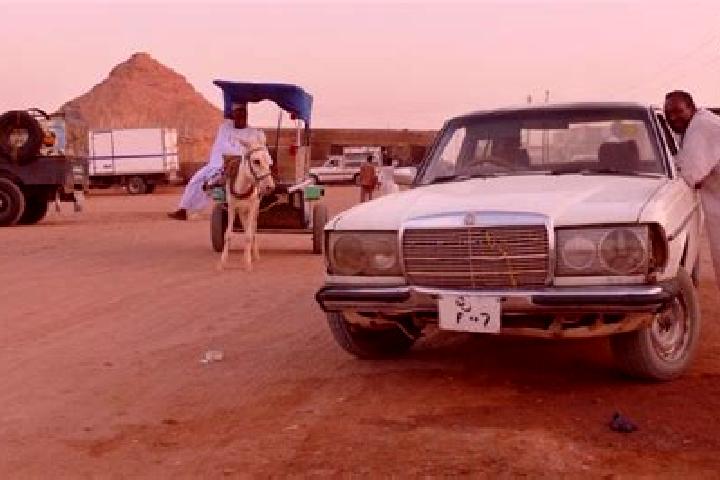 Sienna, 35 — Escort in Wadi Halfa, Sudan