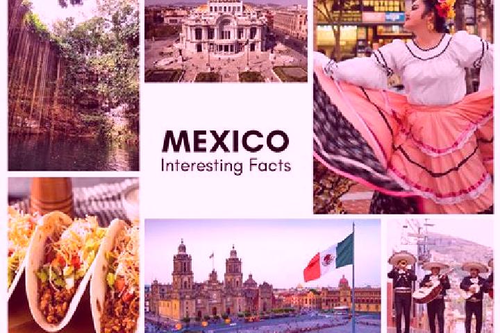 Sienna, 36 — Escort in Dzibikak, Mexico
