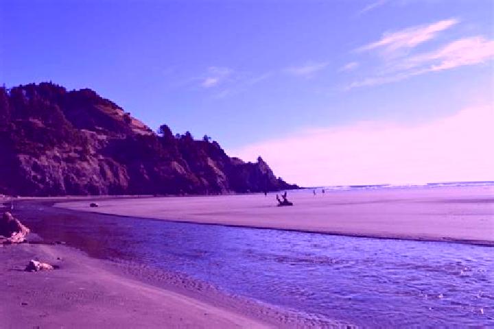 Sienna, 37 — Escort in Agate Beach, United States