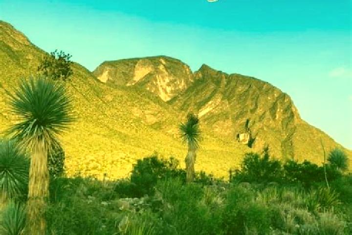 Sienna, 37 — Escort in La Flor de Jimulco, Mexico