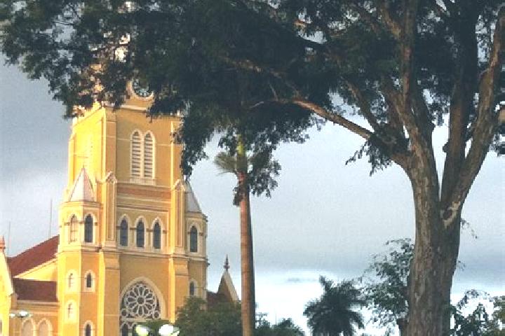 Sienna, 37 — Escort in Santa Rita, Brazil