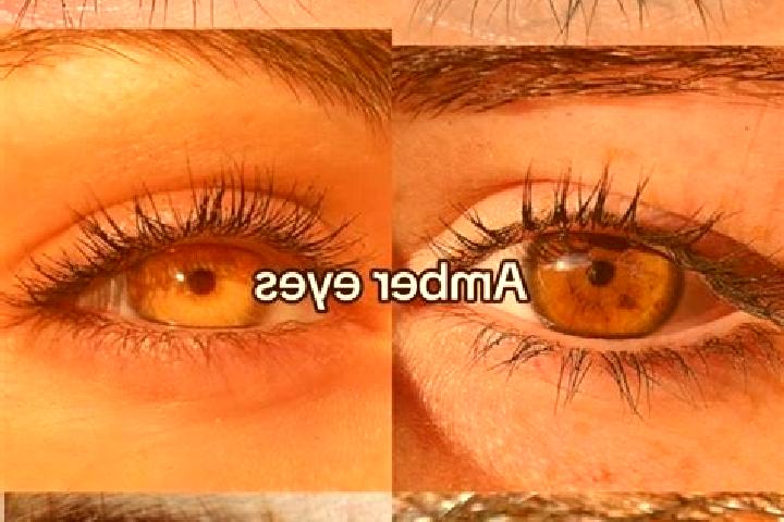 Sienna, 38, a chestnut amber-eyed slavic companion based in Dehouepleu. Offering Fetish, A-Level, Prostate Massage. Available for incall and outcall, overnig...