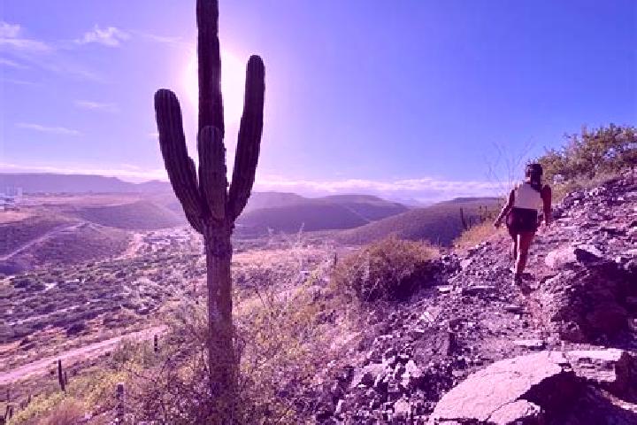 Sienna, 38 — Escort in Cerro de la Cruz, Mexico