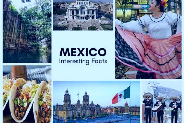 Sienna, 38 — Escort in El Pig, Mexico