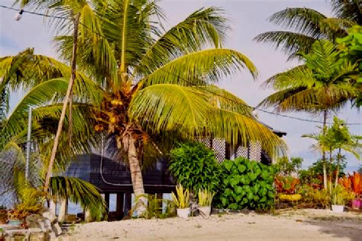 Sienna, 38 — Escort in Matautu, Samoa
