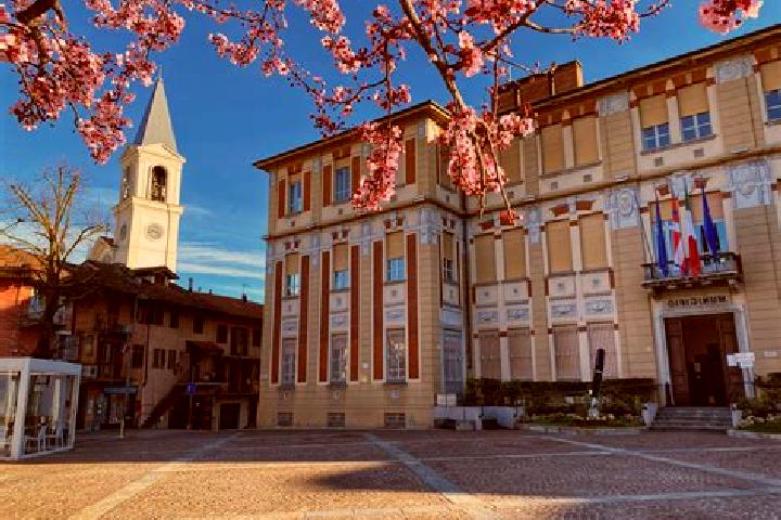 Sienna, 38 — Escort in Santa Maria di Settimo, Italy
