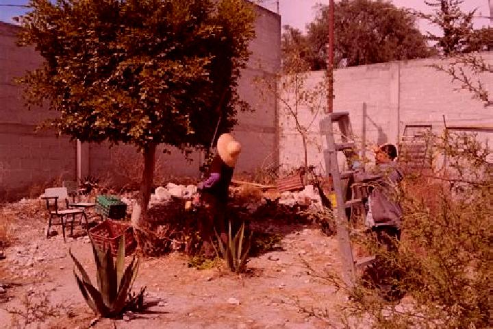 Sienna, 38 — Escort in Tuzuapan, Mexico