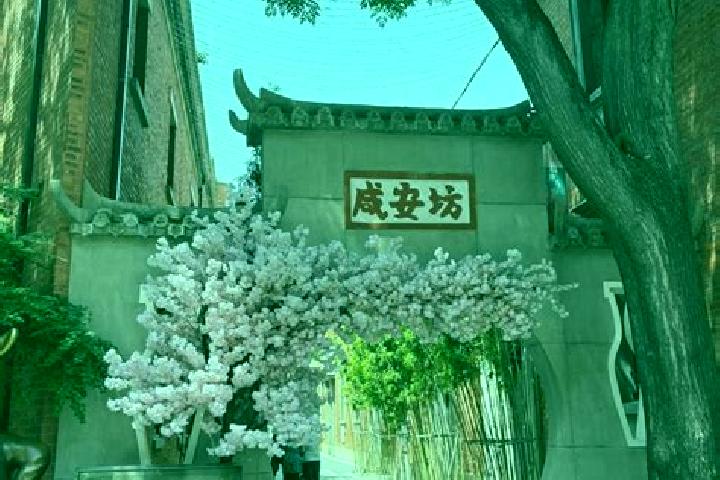 Sienna, 38 — Escort in Xian an, China