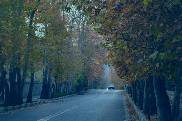 Sienna, 39 — Escort in Cheshmeh Qassaban, Iran