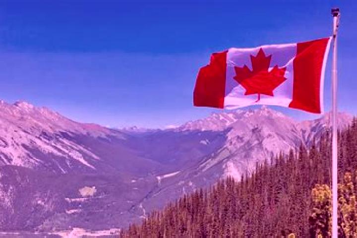 Sienna, 39 — Escort in Steinhauer, Canada