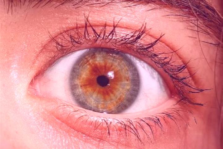 Sofia, 20, a red hazel-eyed indian companion based in Cherre. Offering OWO, A-Level, Travel Companion, Tantra. Available for incall and outcall, overnight bo...