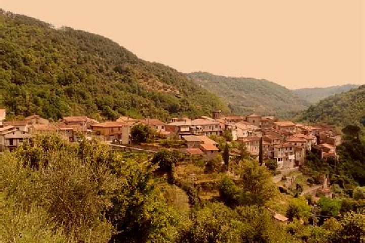Sofia, 20 — Escort in Casola in Lunigiana, Italy
