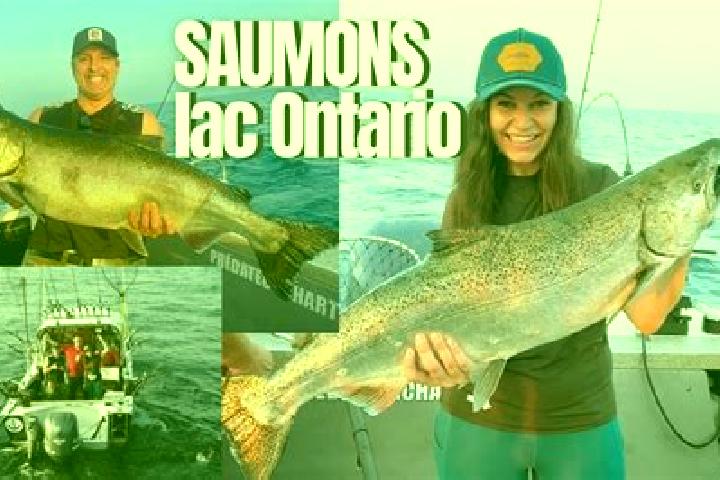 Sofia, 20 — Escort in Lac-au-Saumon, Canada