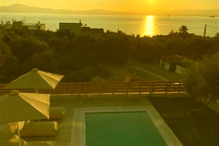 Sofia, 20 — Escort in Mikra Mantineia, Greece