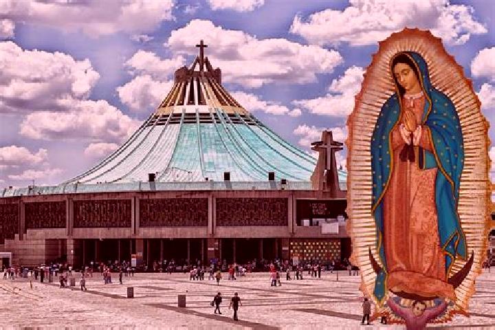 Sofia, 20 — Escort in Norias de Guadalupe, Mexico