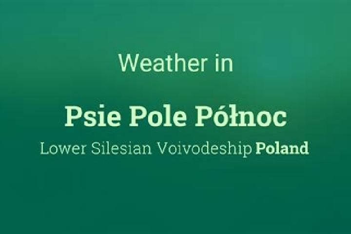 Sofia, 20 — Escort in Psie Pole Polnoc, Poland