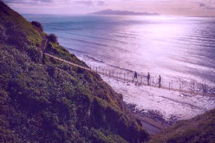 Sofia, 20 — Escort in Pukerua Bay, New Zealand