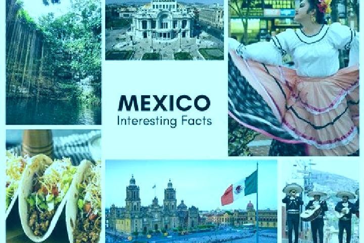 Sofia, 20 — Escort in Querendas, Mexico