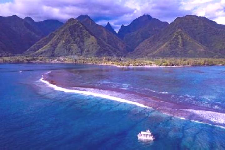 Sofia, 20 — Escort in Teahupoo, French Polynesia