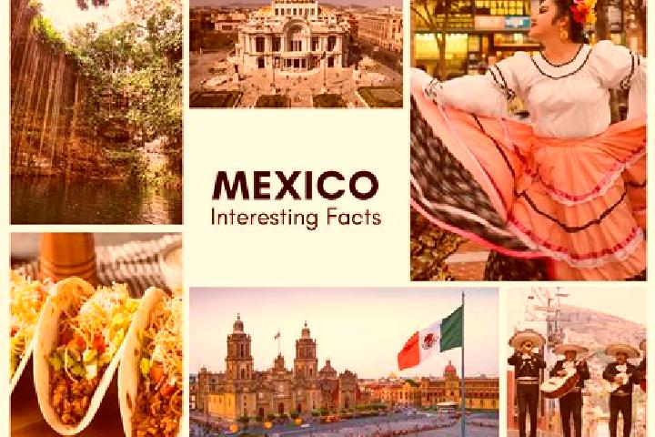Sofia, 20 — Escort in Tlahuico, Mexico